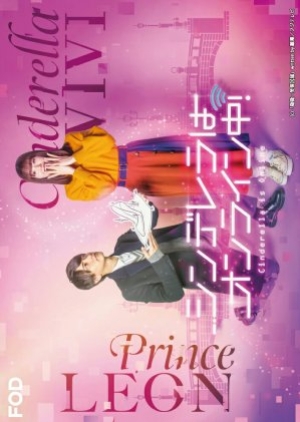 ดูซีรี่ย์ญี่ปุ่น Cinderella Is Online เมื่อเราออนไลน์มารักกัน (พากย์ไทย)