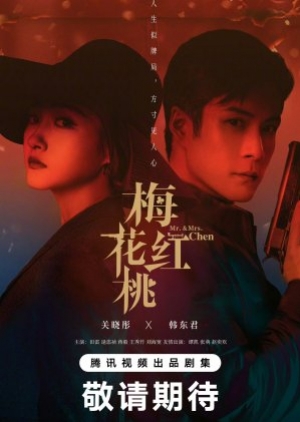ดูซีรี่ย์ปี-2023 Mr. & Mrs. Chen (2023) ซับไทย