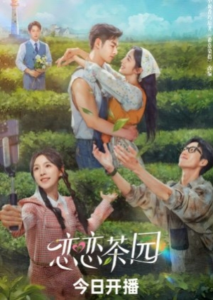 ดูซีรี่ย์จีน Love in the Tea Garden (2024) รักเกิดในสวนชา (ซับไทย)