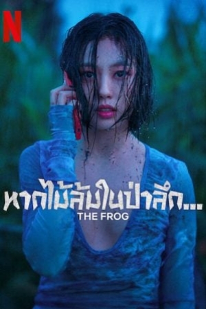 ดูซีรี่ย์เกาหลี The Frog (2024) หากไม้ล้มในป่าลึก (พากย์ไทย+ซับไทย)