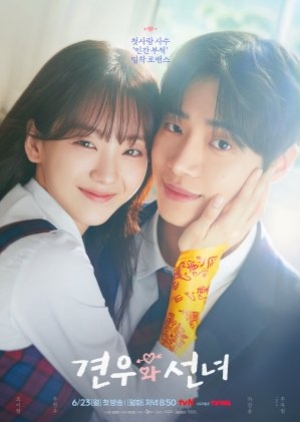 Head Over Heels (2025) ซับไทย